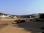 The Estuary